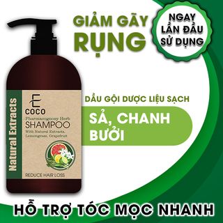 Dầu gội dược liệu giảm rụng Ecoco