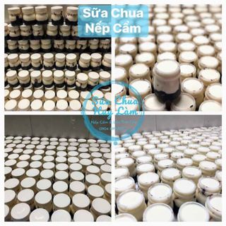 Sữa chua nếp cẩm hũ 100ml chuyên sỉ
