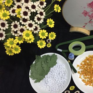 set làm cúc tana 100 bông