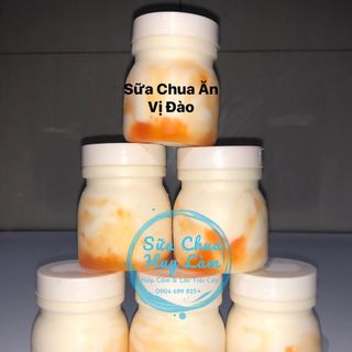 Sữa chua trộn trái cây hũ 100ml chuyên sỉ
