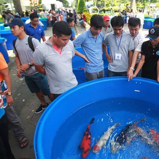 Bồn nhựa tròn 3000 lít nuôi cá giá rẻ toàn quốc