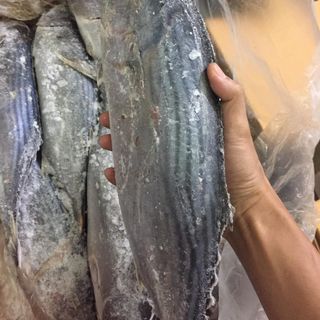 Cá Ngừ Thu Hàn Quốc cao