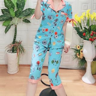 Bộ lụa mịn đẹp 4569875