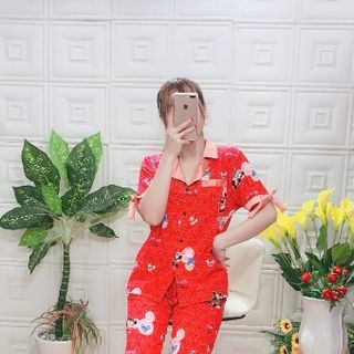 Bộ lụa mịn đẹp 4569875