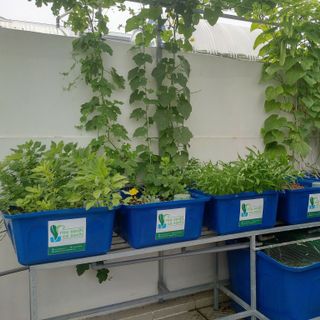 Thùng nhựa nuôi cá 1100lit hình chữ nhật giá rẻ