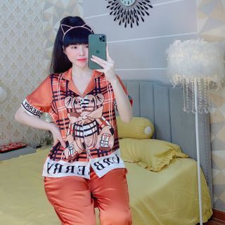 Bộ lụa satin 4569872