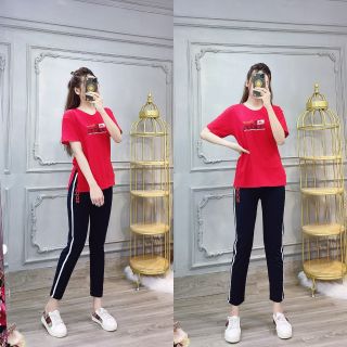 Bộ cotton mịn đẹp 4569860