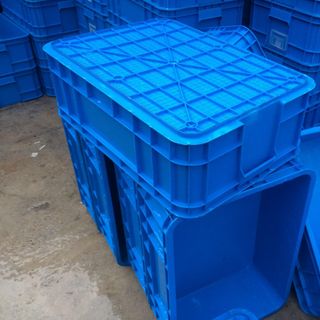 Sóng nhưa bít đựng thành phẩm nuôi côn trùng giá rẻ