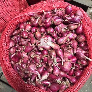Hành Tím Sỉ