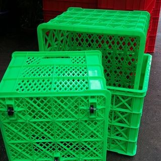 Rổ nhựa đựng hàng hóa các loại Ngọc