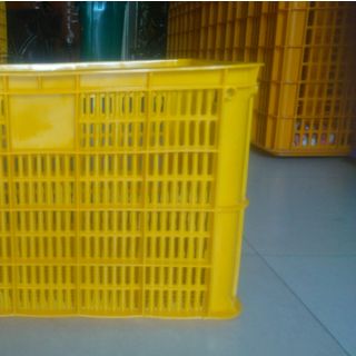 Rổ nhựa đựng hàng hóa các loại Ngọc