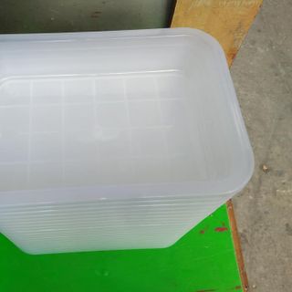 Combo 2 thau nhựa tắm chim loại trung