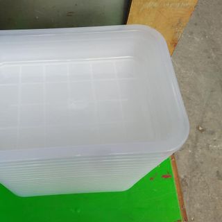 Combo 2 thau nhựa tắm chim loại trung