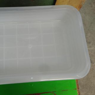 Combo 2 thau nhựa tắm chim loại trung