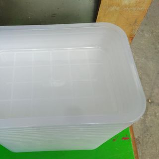 Combo 2 thau nhựa tắm chim loại trung