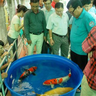 Bồn nhựa tròn nuôi cá koi các loại 1500 lít giá rẻ