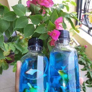 Soda nhiệt đới