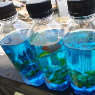 Soda nhiệt đới