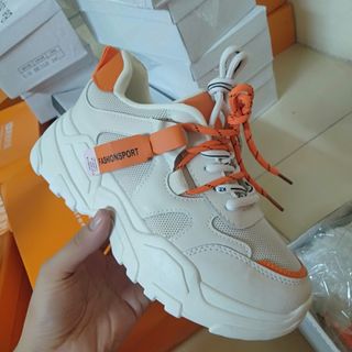 Giày 100 đôi giày nữ lẽ size nhiều mẫu