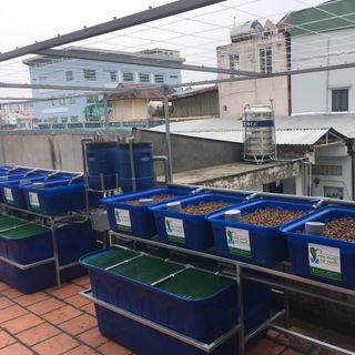 Bán thùng nhựa nuôi cá 750 lít chữ nhật giao toàn quốc
