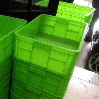 Khay nhựa nuôi côn trùng sâu bọ giá rẻ toàn quốc