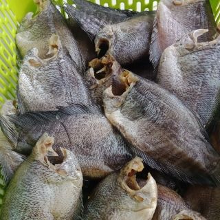 Khô cá sặc lạt