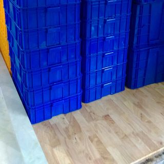 Khay nhựa nuôi côn trùng sâu bọ giá rẻ toàn quốc