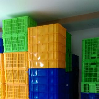 Khay nhựa nuôi côn trùng sâu bọ giá rẻ toàn quốc