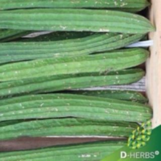 Hạt giống mướp khía thái lan cao sản gói 15h