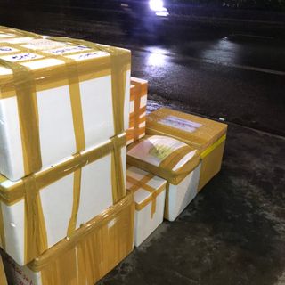 Tôm Hùm Sống Cam Ranh Siêu Khỏe
