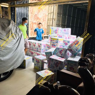 Phân phối Tã Merries nội địa nhật