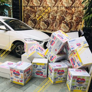 Phân phối Tã Merries nội địa nhật