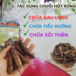Chuối Hột Rừng