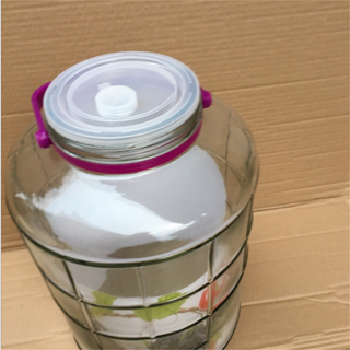 Bình Thủy Tinh Quai Tím Dung Tích 20L