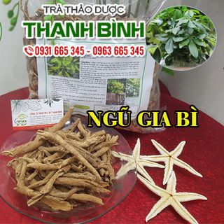Ngũ Gia Bì
