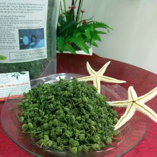 Nụ Hoa Tam Thất Bao Tử