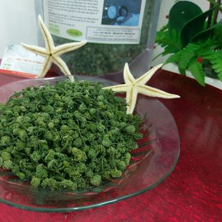 Nụ Hoa Tam Thất Bao Tử