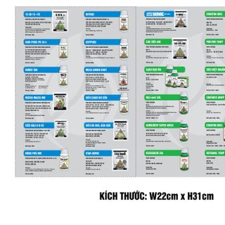 Sư tử lửa 750 ÉC