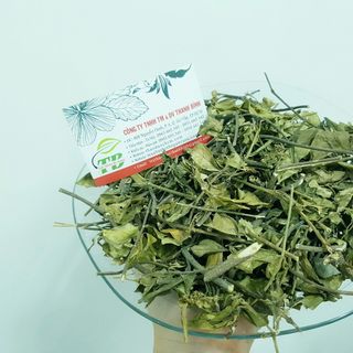 Dây Thìa Canh
