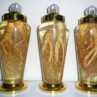 Bình Ngâm Sâm Thủy Tinh 8L