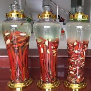Bình Ngâm Sâm Thủy Tinh 8L