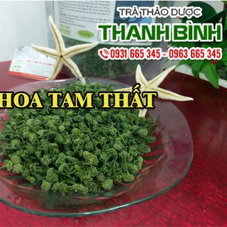 Nụ Hoa Tam Thất Bao Tử
