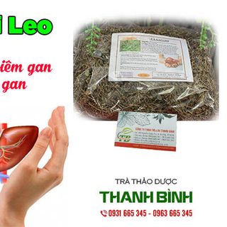Cà Gai Leo