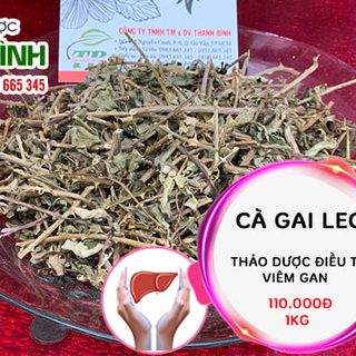 Cà Gai Leo