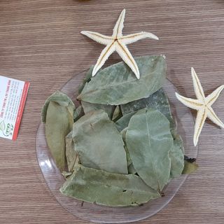 Lá Mãng Cầu Xiêm