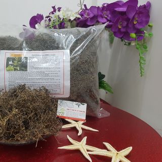 Bạch Hoa Xà Thiệt Thảo