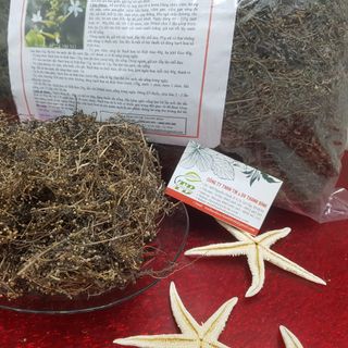 Bạch Hoa Xà Thiệt Thảo