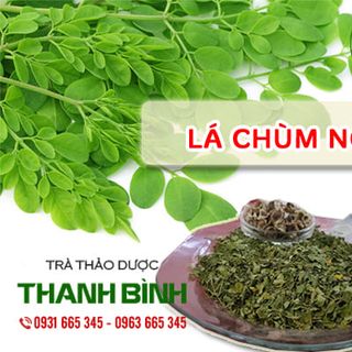 Lá Chùm Ngây Khô