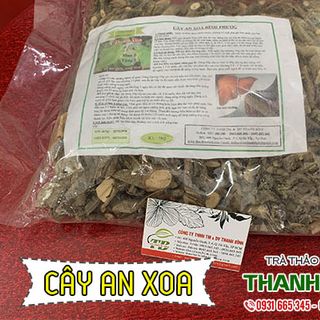 Cây An Xoa Khô