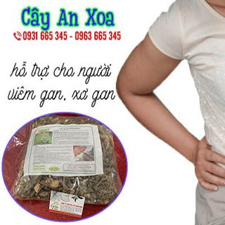 Cây An Xoa Khô